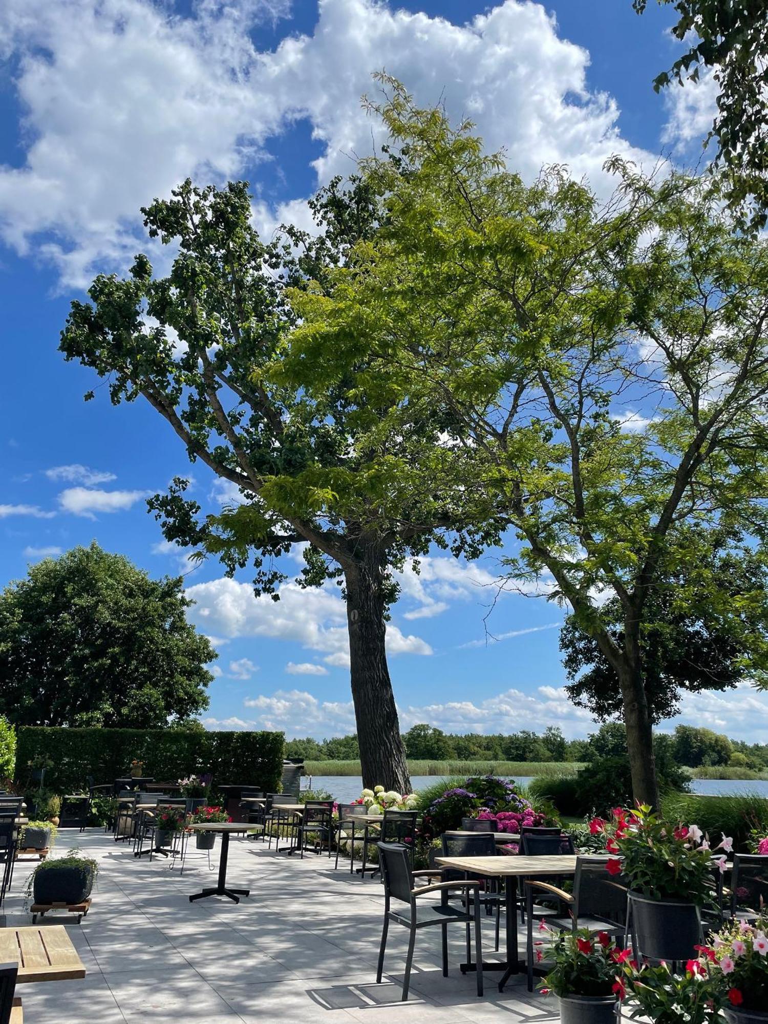 Restaurant-hotel De Watergeus 3* Noorden